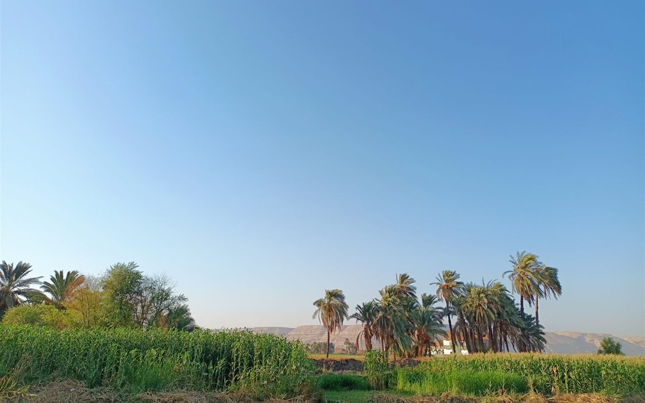 Egyptian countryside