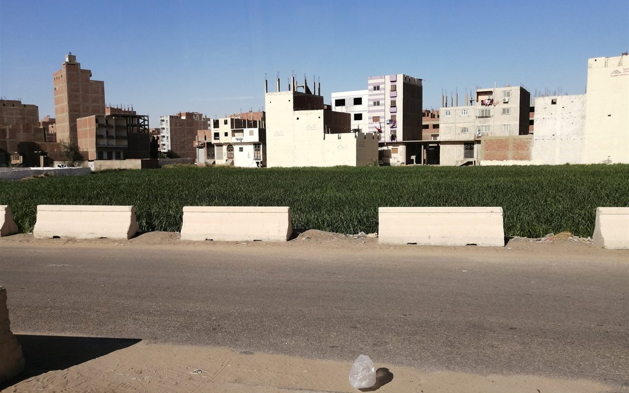 Farm near the Nile, Fayoum