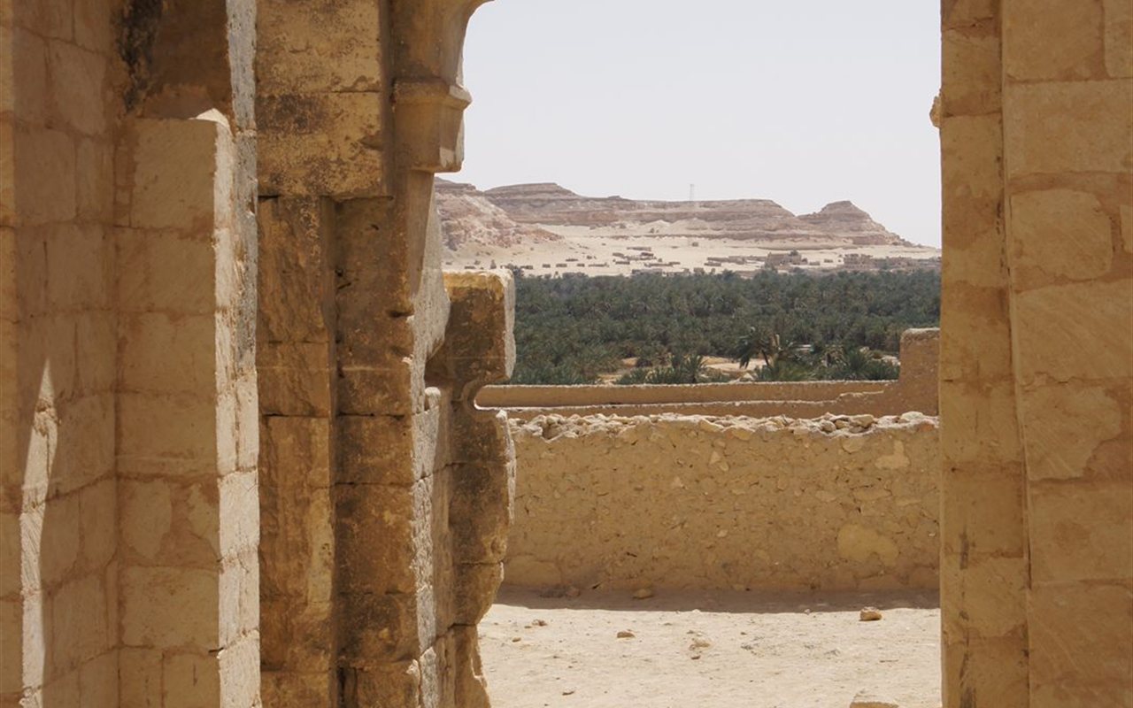 Siwa Oasis farmland